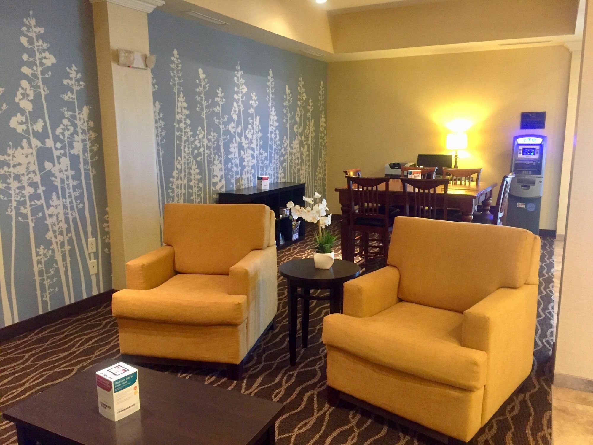 Sleep Inn & Suites Рапид-Сити Экстерьер фото