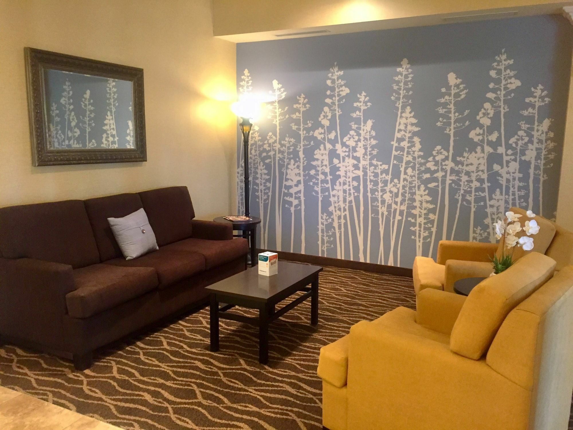 Sleep Inn & Suites Рапид-Сити Экстерьер фото