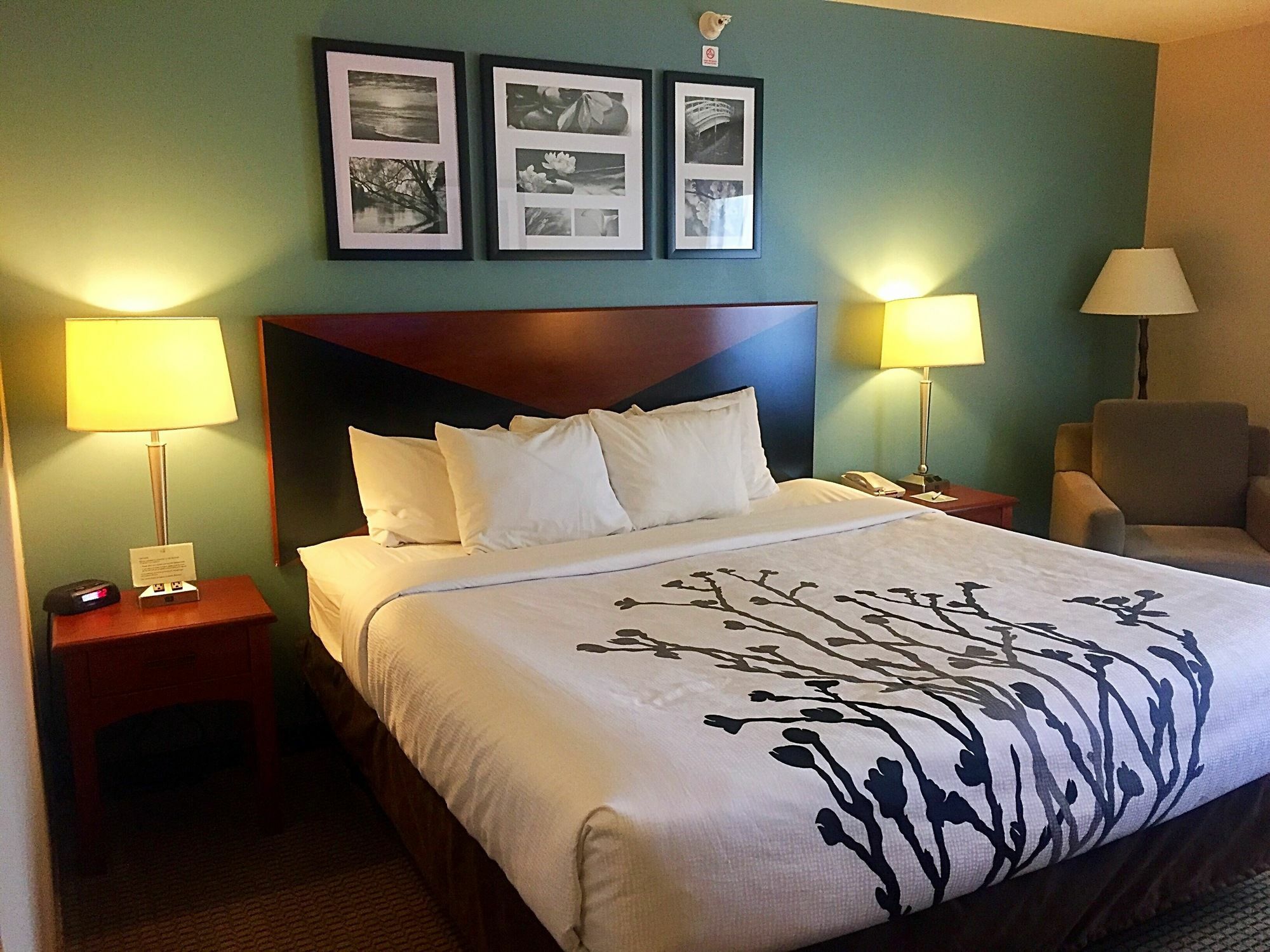 Sleep Inn & Suites Рапид-Сити Экстерьер фото